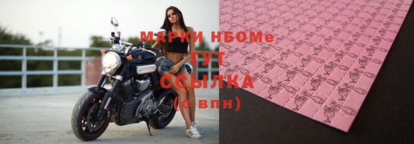 хмурый Янаул
