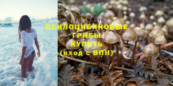 сатива Дмитровск