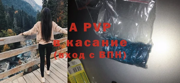 сатива Дмитровск